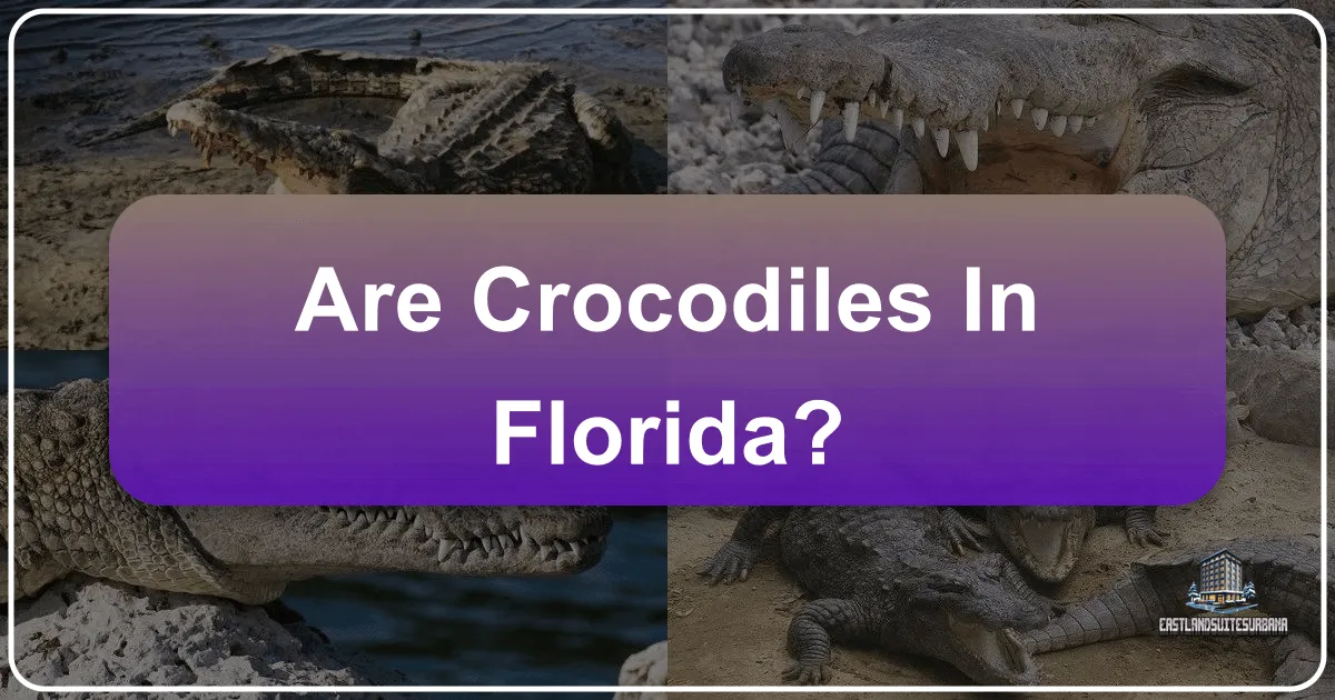 Are Crocodiles in Florida?