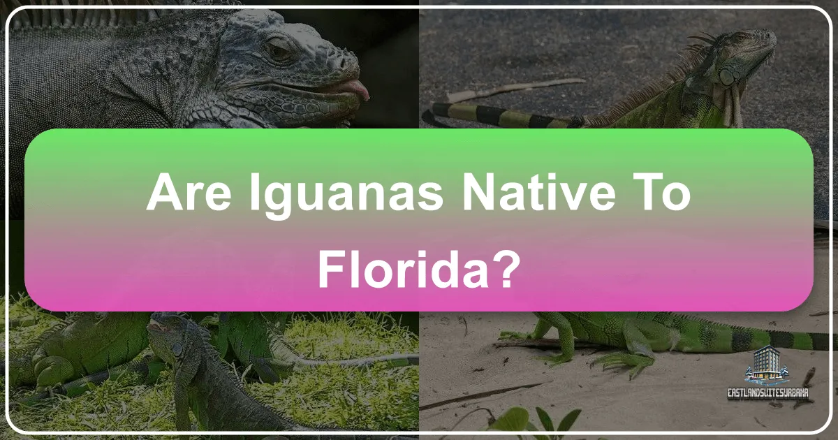 Are Iguanas Native To Florida?