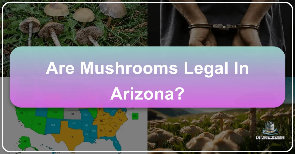 Are Mushrooms Legal In Arizona?