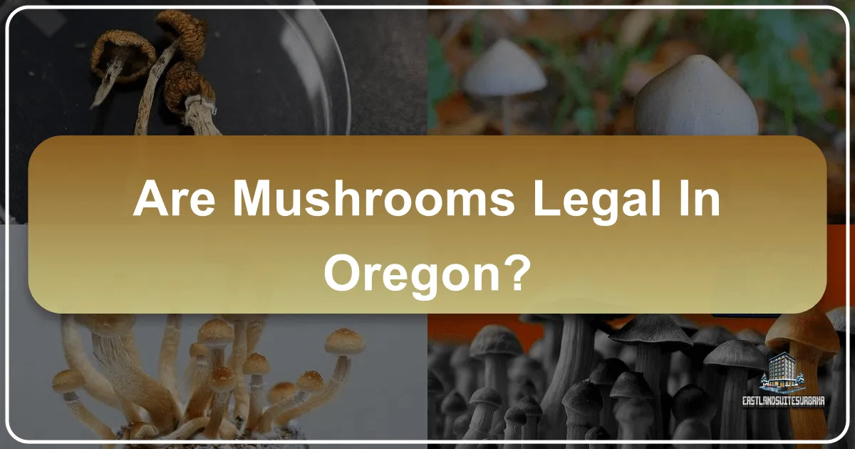 Are Mushrooms Legal in Oregon?