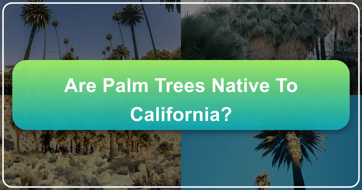 are palm trees native to california