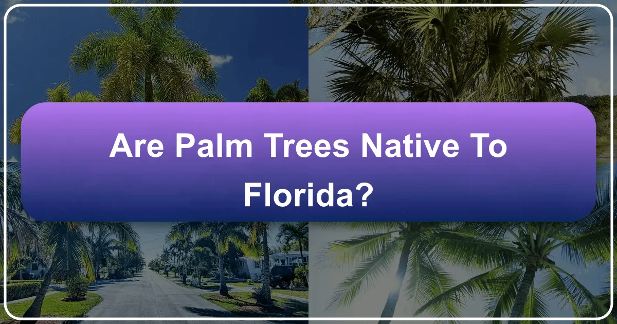 Are Palm Trees Native to Florida?