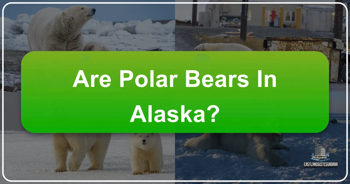 Are Polar Bears in Alaska?