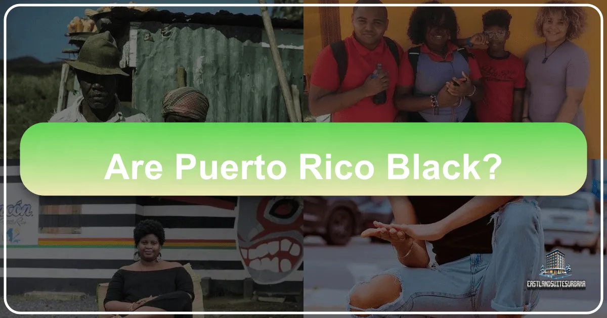 Exploring the African Heritage and Identity of Puerto Rico