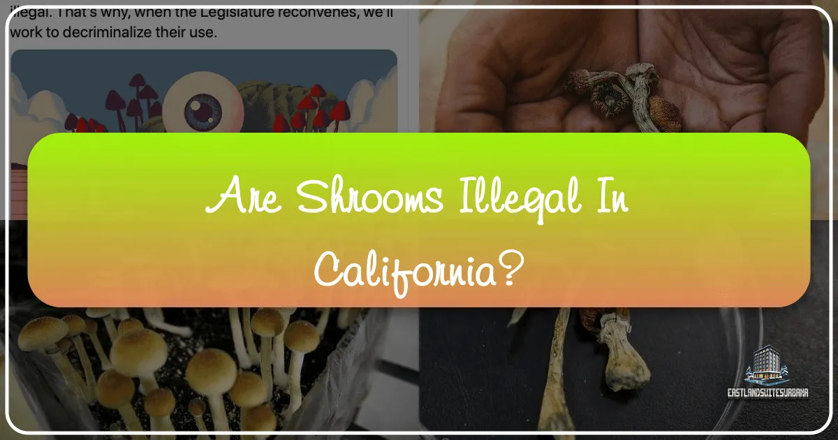 Are Shrooms Illegal in California?