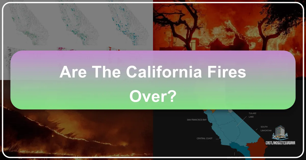 Navigating Travel in California: Are the Wildfires Still a Concern?