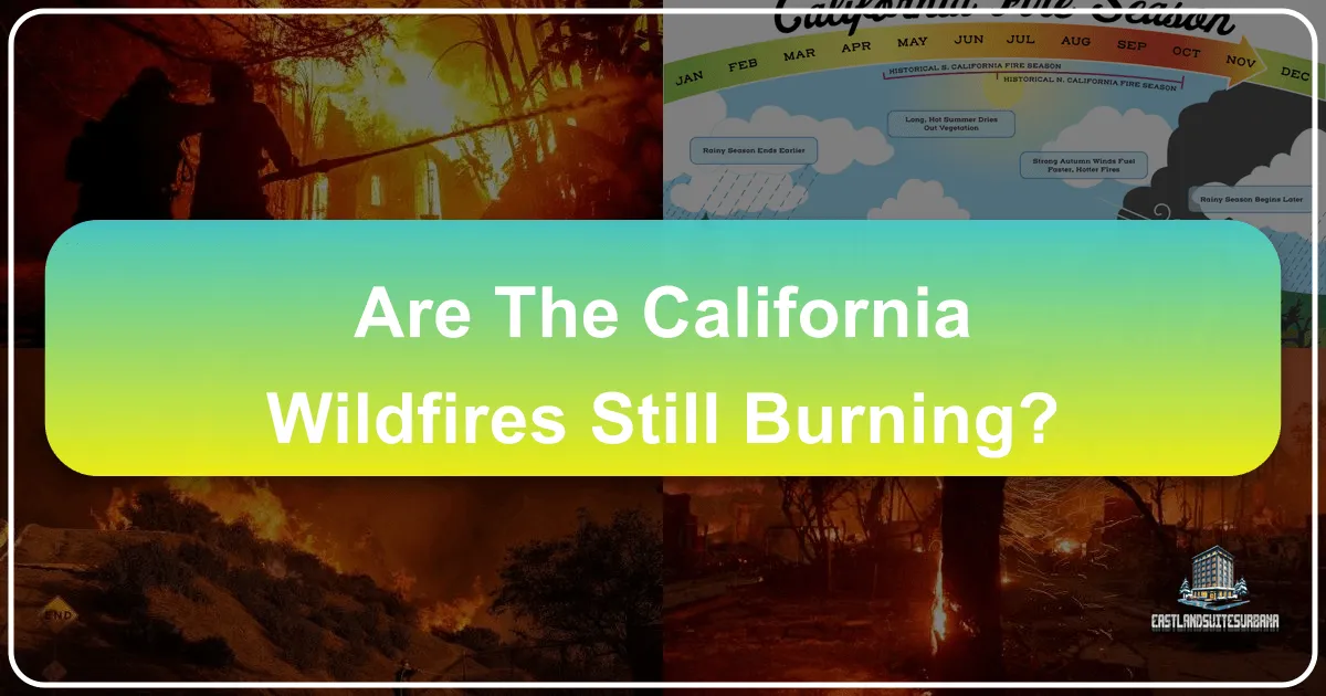 Are the California Wildfires Still Burning? Navigating Travel in the Golden State