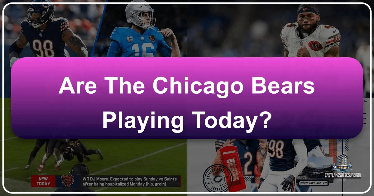are the chicago bears playing today