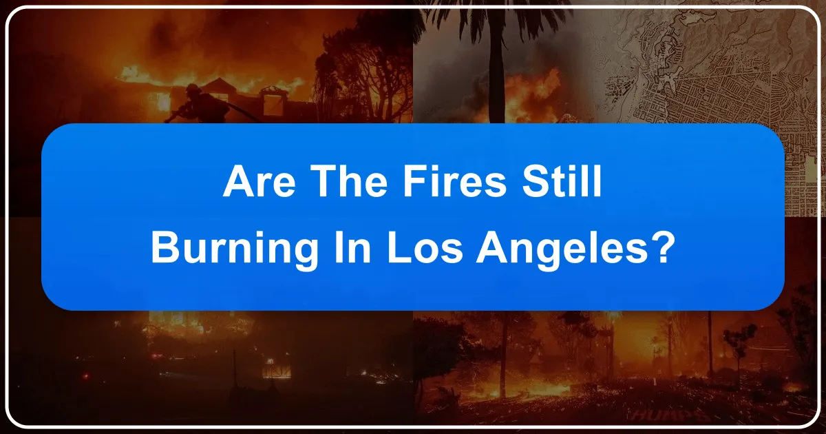 Are the Fires Still Burning in Los Angeles? A Travel Perspective on Visiting the City of Angels