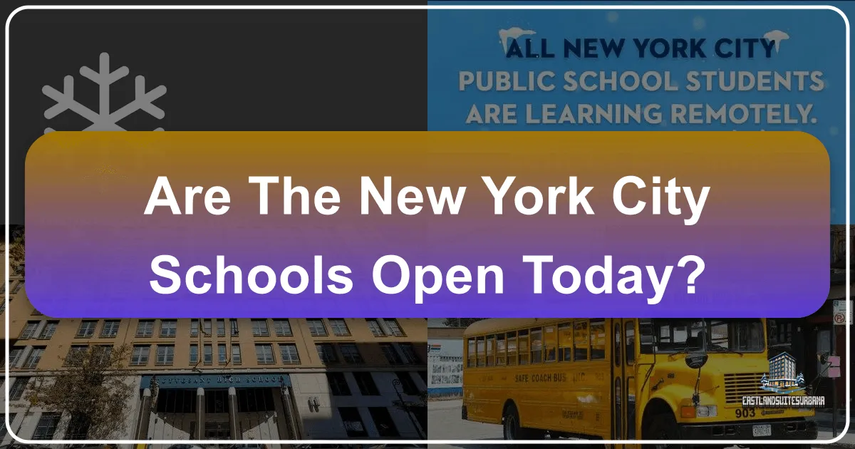 Are The New York City Schools Open Today?