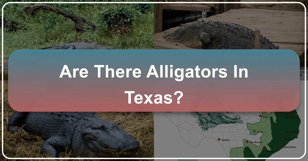 Are There Alligators in Texas?