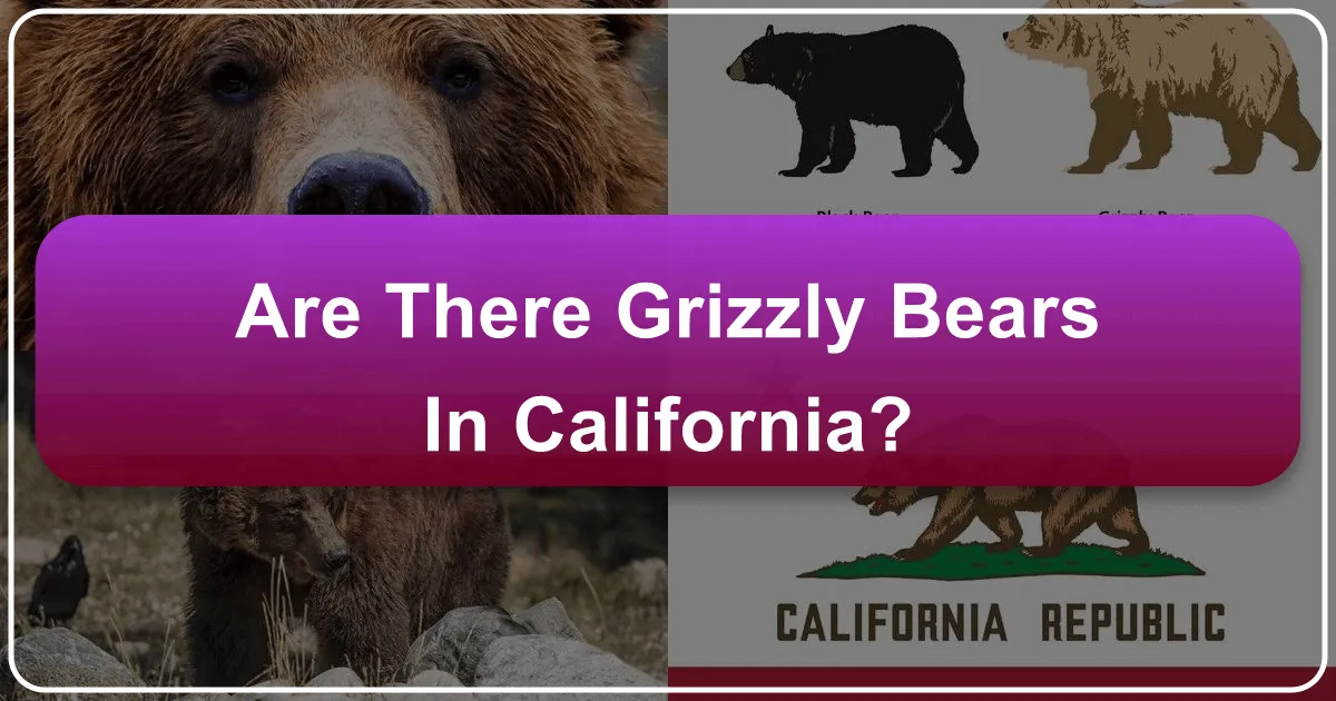 Are There Grizzly Bears In California?