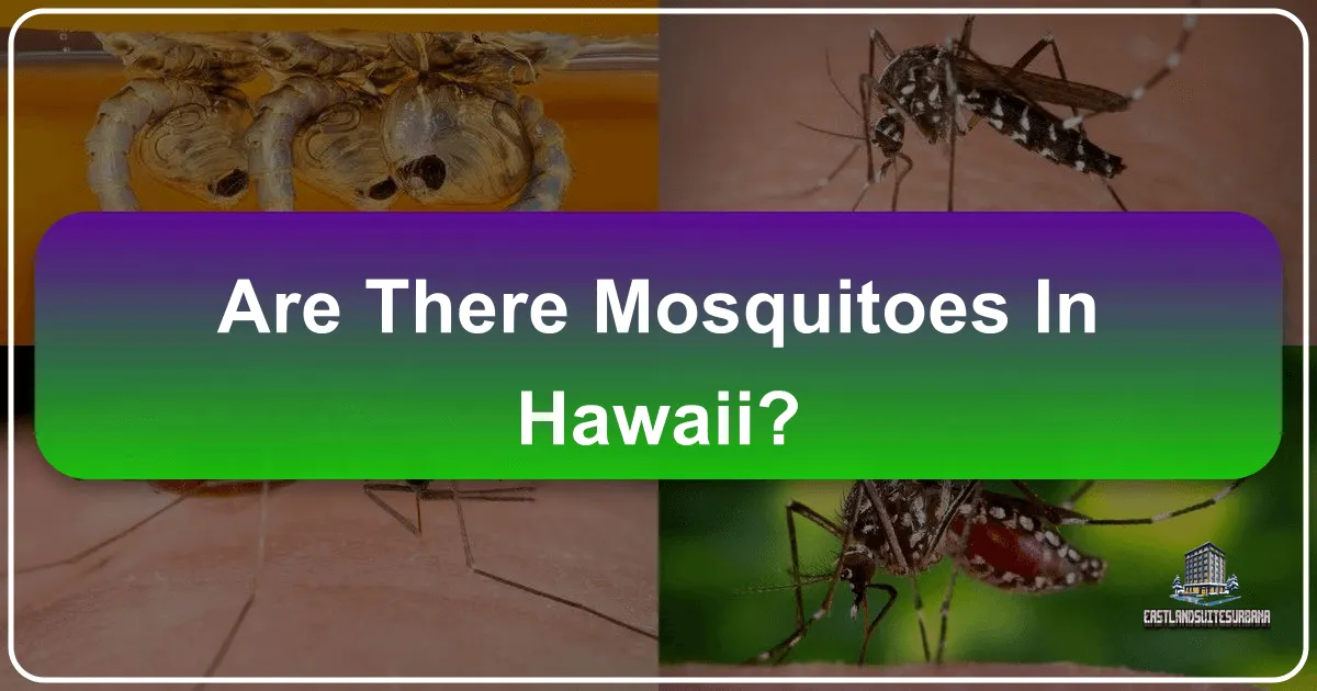 Navigating Paradise: The Real Story of Mosquitoes in Hawaii