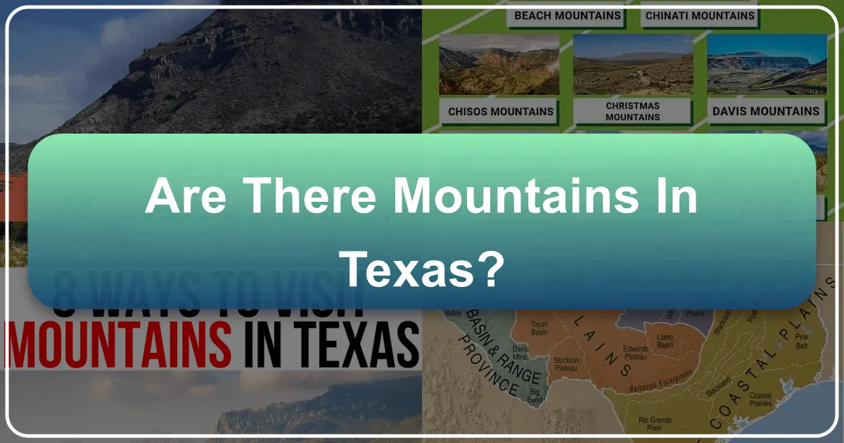 Are There Mountains in Texas?