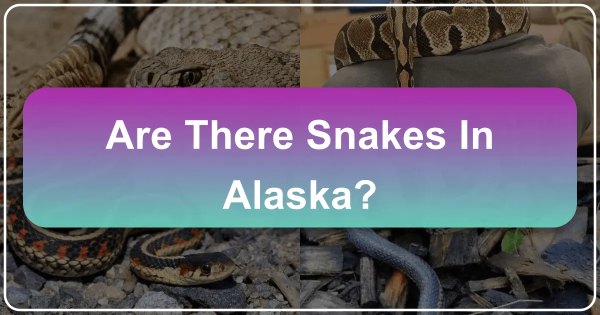 Are There Snakes in Alaska?