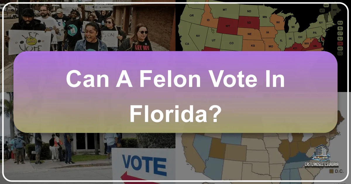 Can a Felon Vote in Florida? Navigating Civic Life and Travel in the Sunshine State