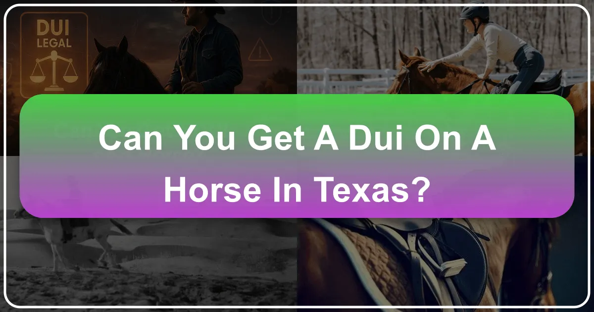 Can You Get a DUI on a Horse in Texas?