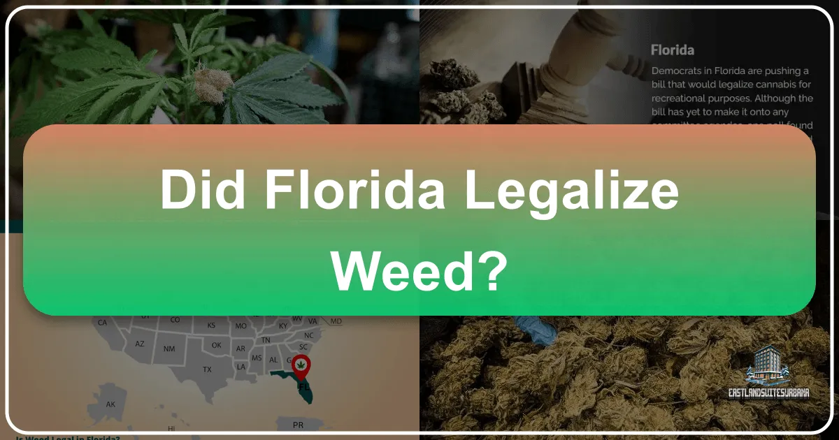 Did Florida Legalize Weed?
