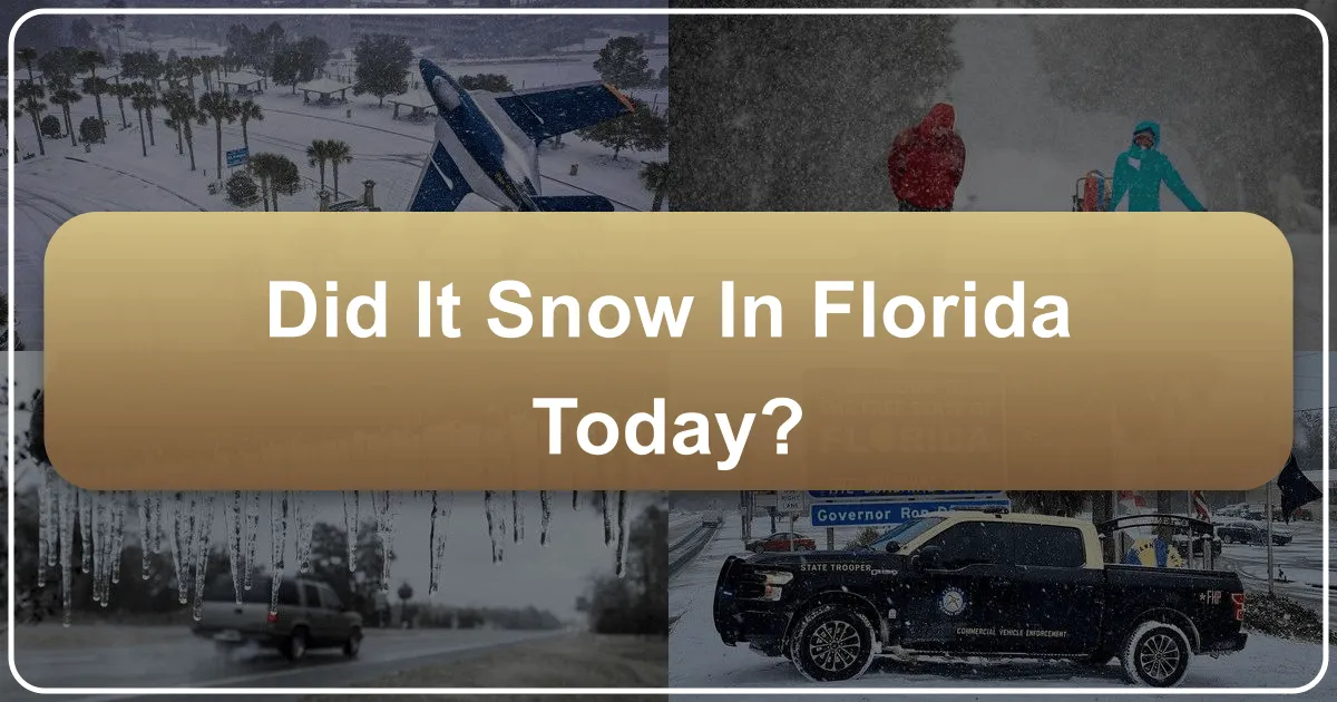 Did It Snow in Florida Today? Unraveling the Sunshine State's Winter Enigma