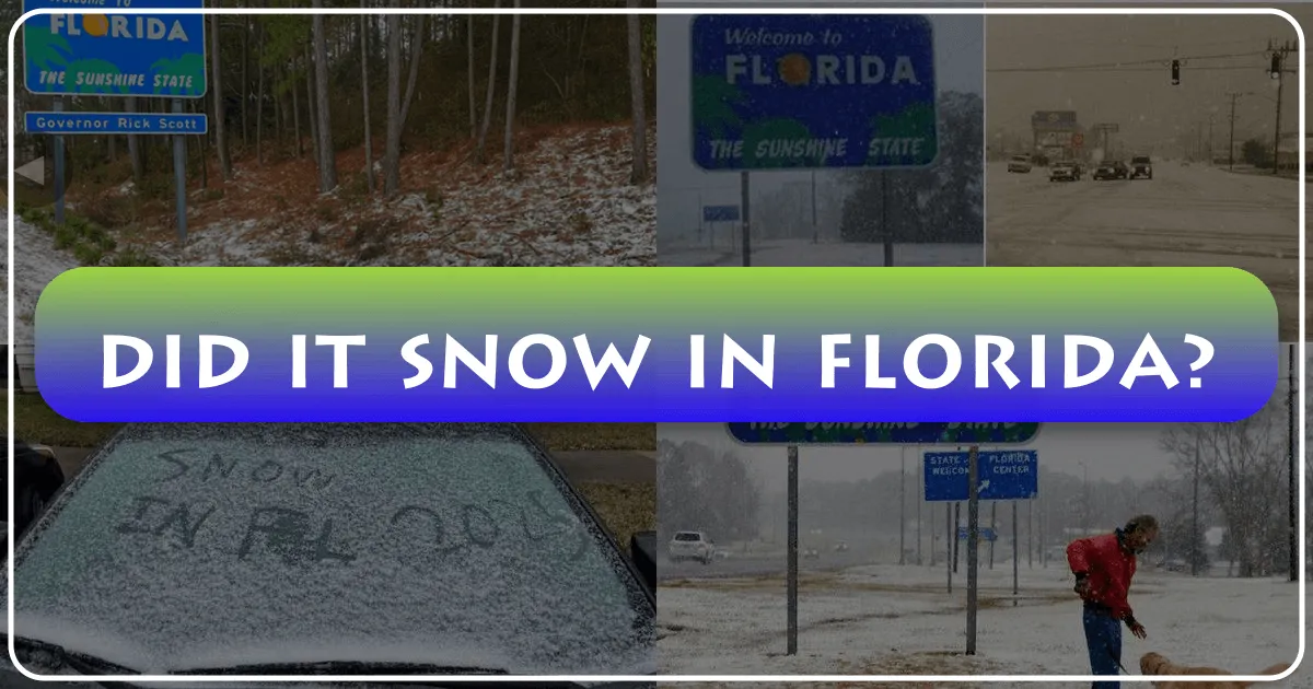 did it snow in florida