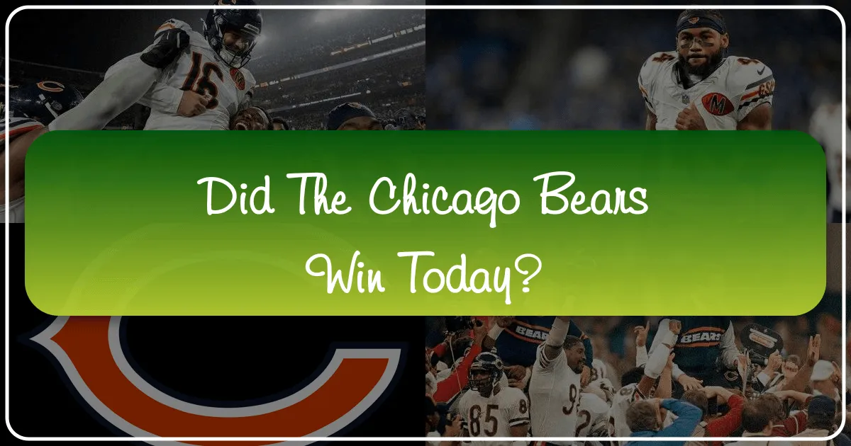 Did the Chicago Bears Win Today
