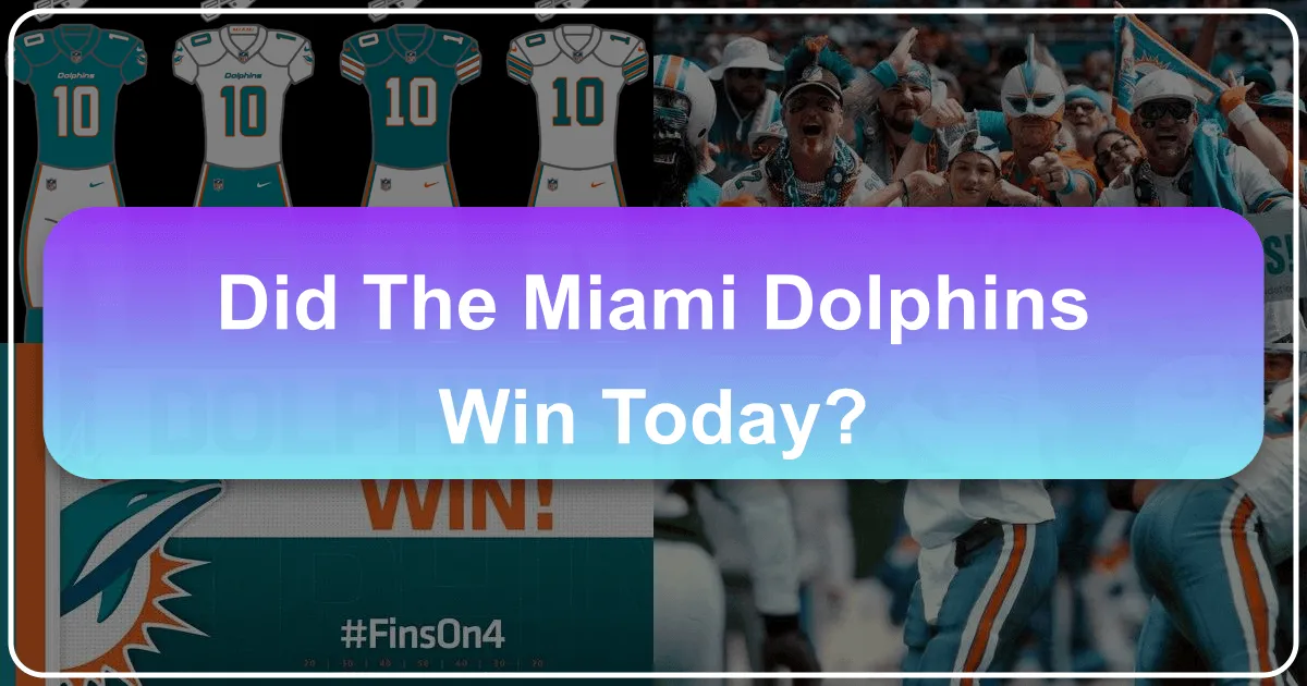 did the miami dolphins win today