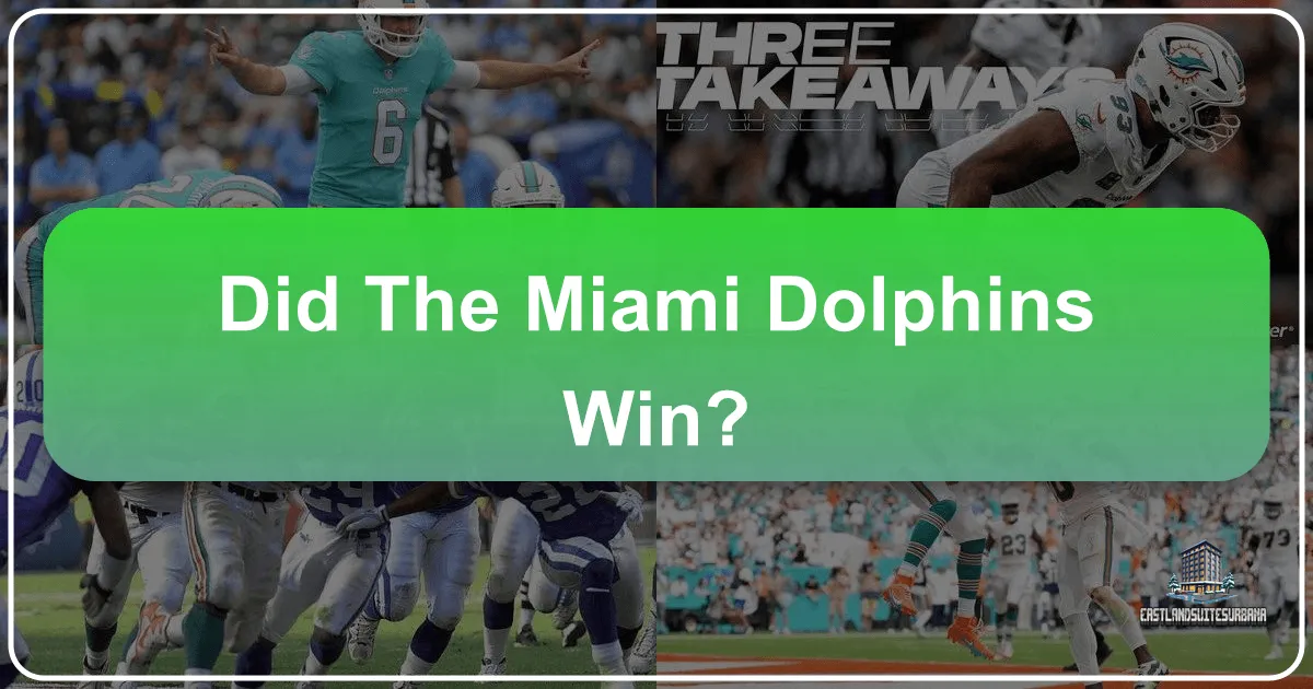 did the miami dolphins win