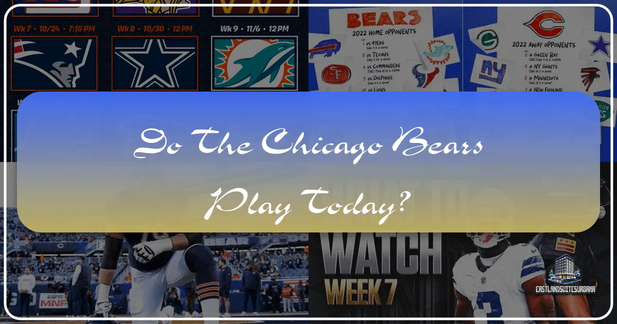 Beyond the Gridiron: Unveiling Chicago's Charms, Game Day or Not