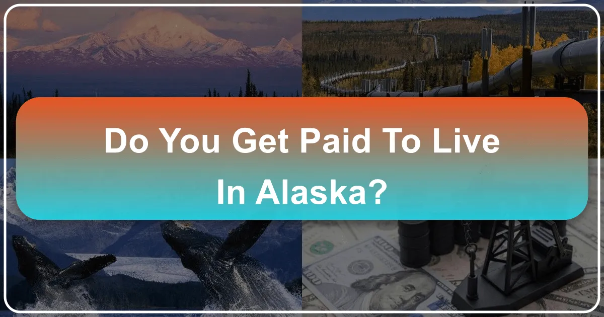Do You Get Paid to Live in Alaska?