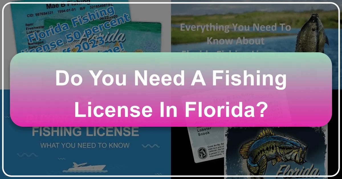 do you need a fishing license in florida