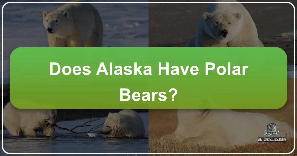 Does Alaska Have Polar Bears?
