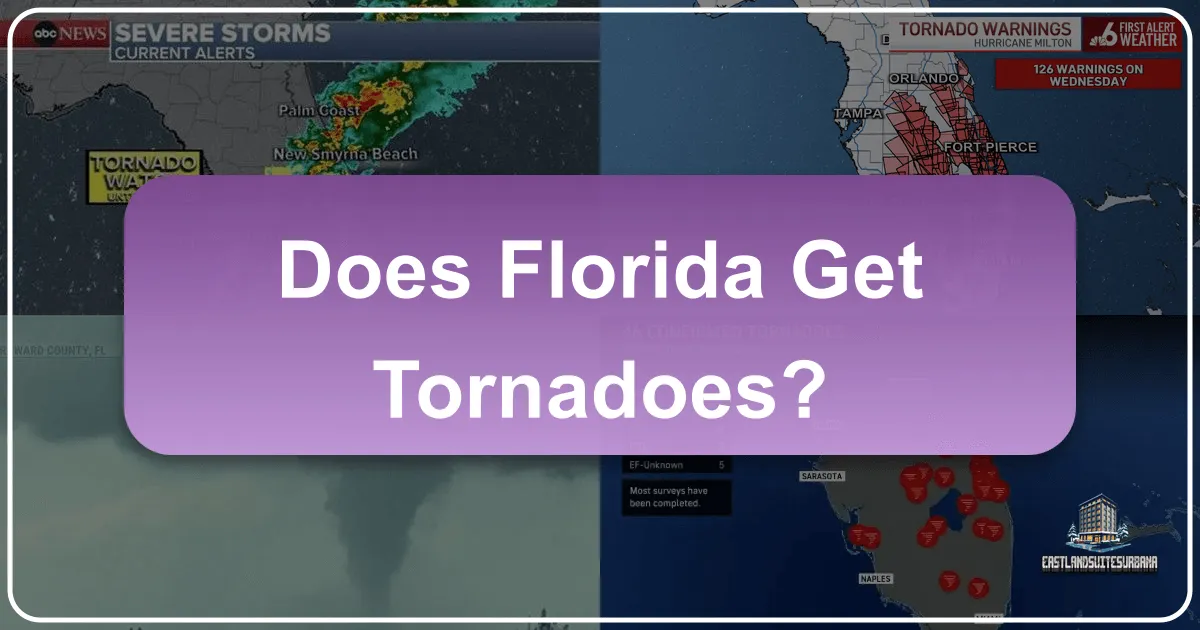 Does Florida Get Tornadoes?