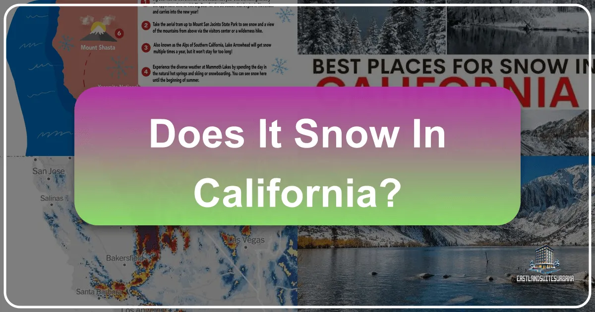 Does It Snow In California?