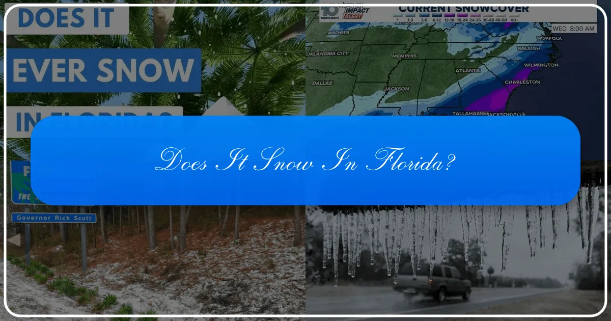 Does It Snow in Florida? Unraveling the Sunshine State's Rarest Weather Phenomenon