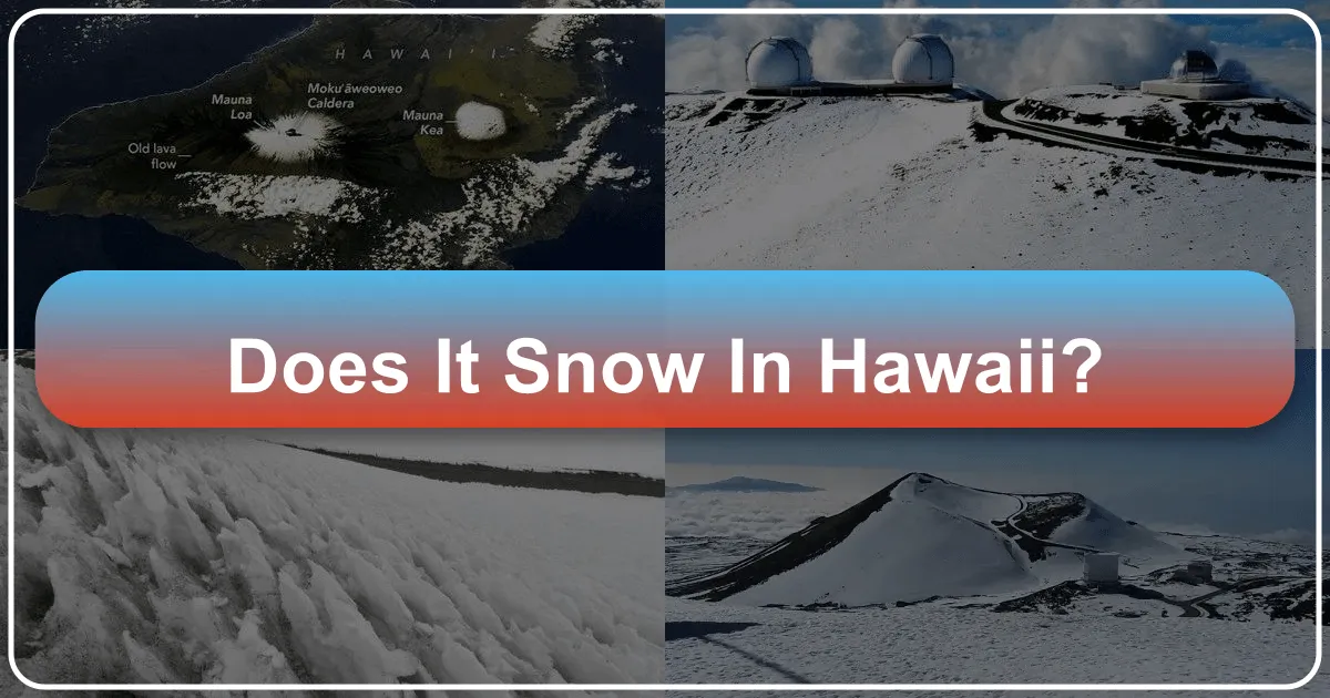 Does It Snow in Hawaii? Unveiling the Islands' Surprising Winter Wonderland