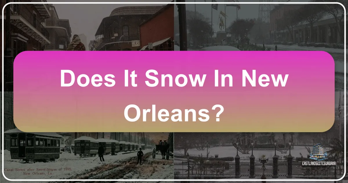 Does It Snow in New Orleans?