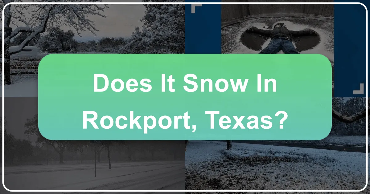 Does It Snow in Rockport Texas? Unraveling Winter's Whims in the Coastal Bend