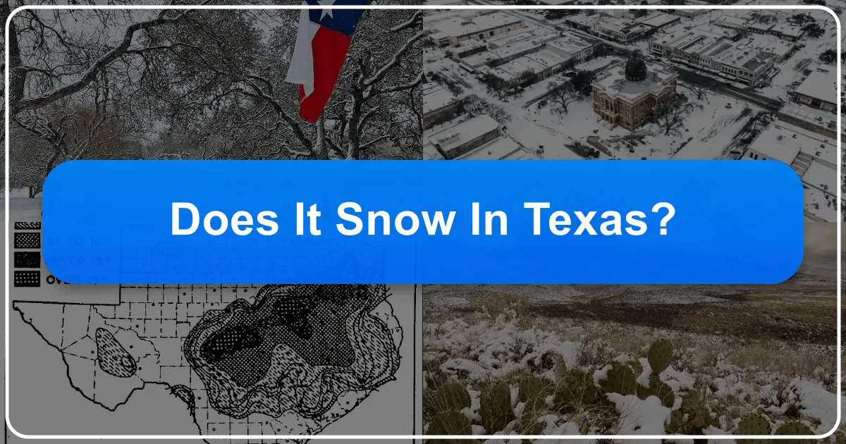 Does It Snow in Texas?