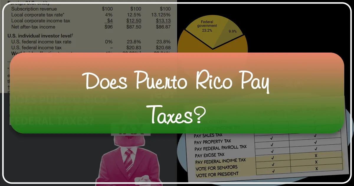 Does Puerto Rico Pay Taxes?