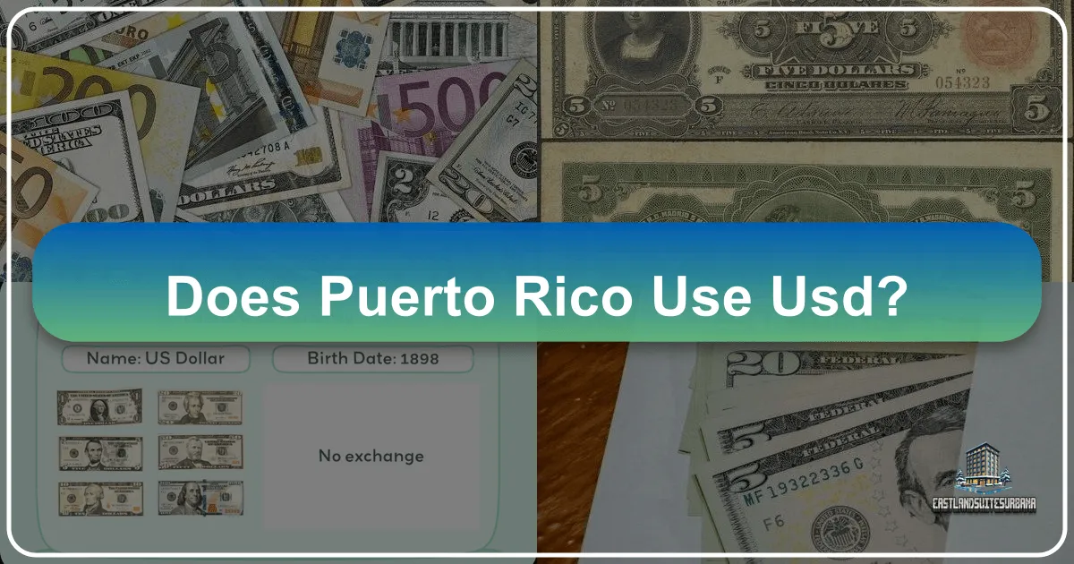 Does Puerto Rico Use USD?