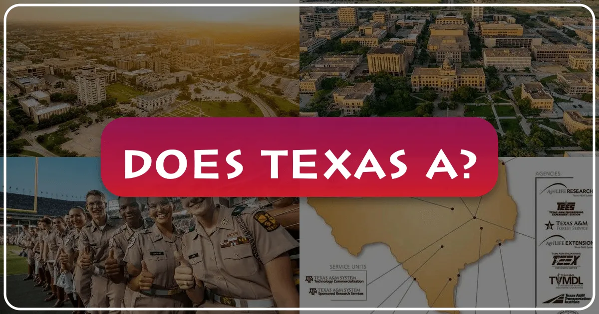 Exploring College Station: Does Texas A&M University Offer a Rich Travel Experience?
