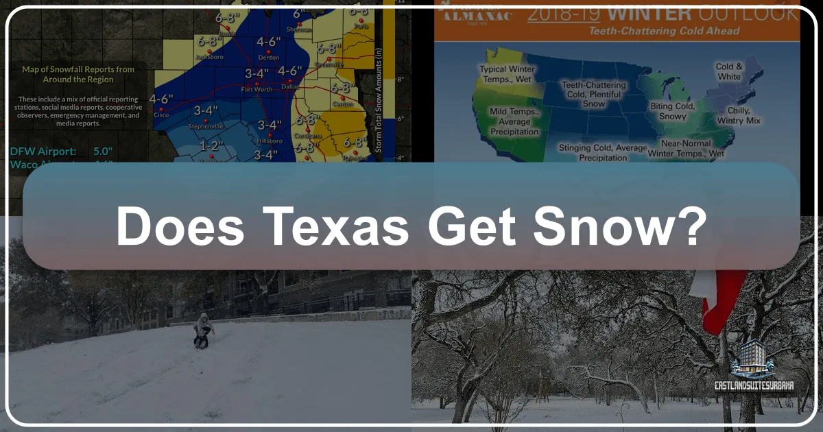 Does Texas Get Snow?