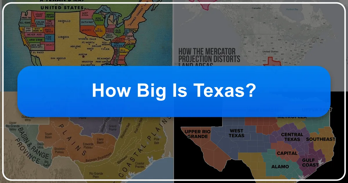 how big is texas