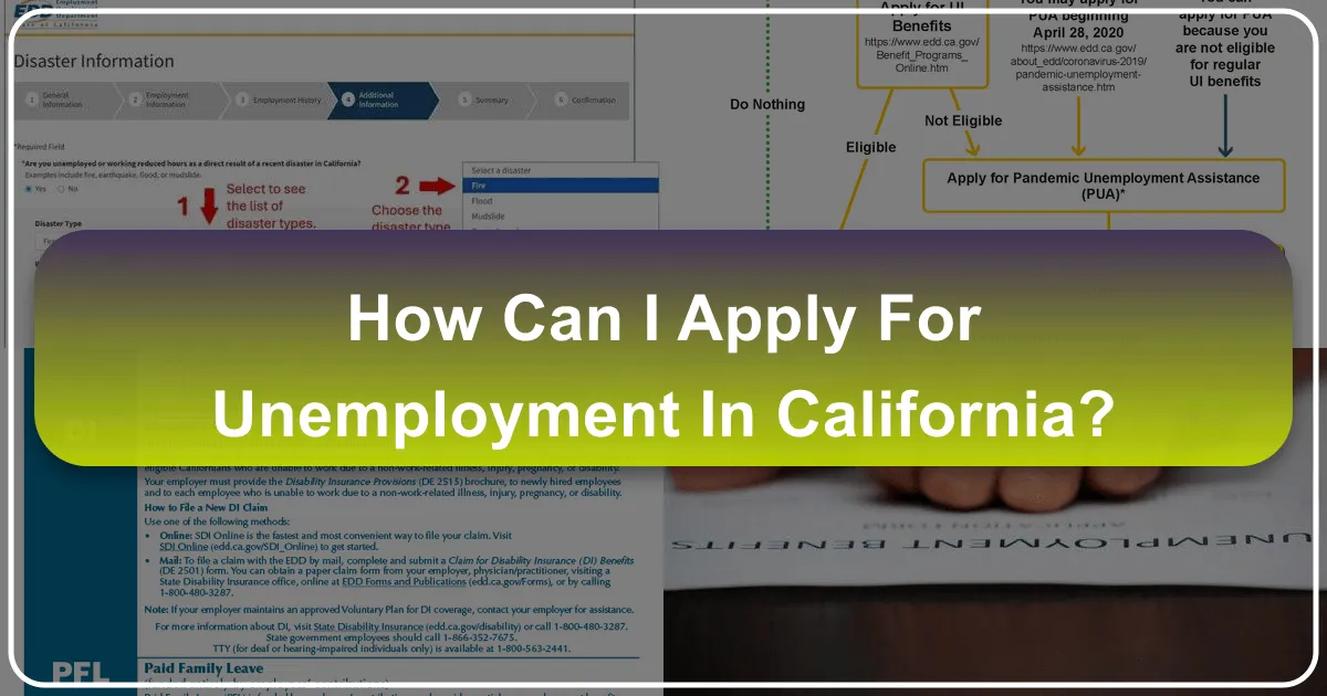 Navigating Life's Unexpected Turns: A Traveler's Guide to Security in California