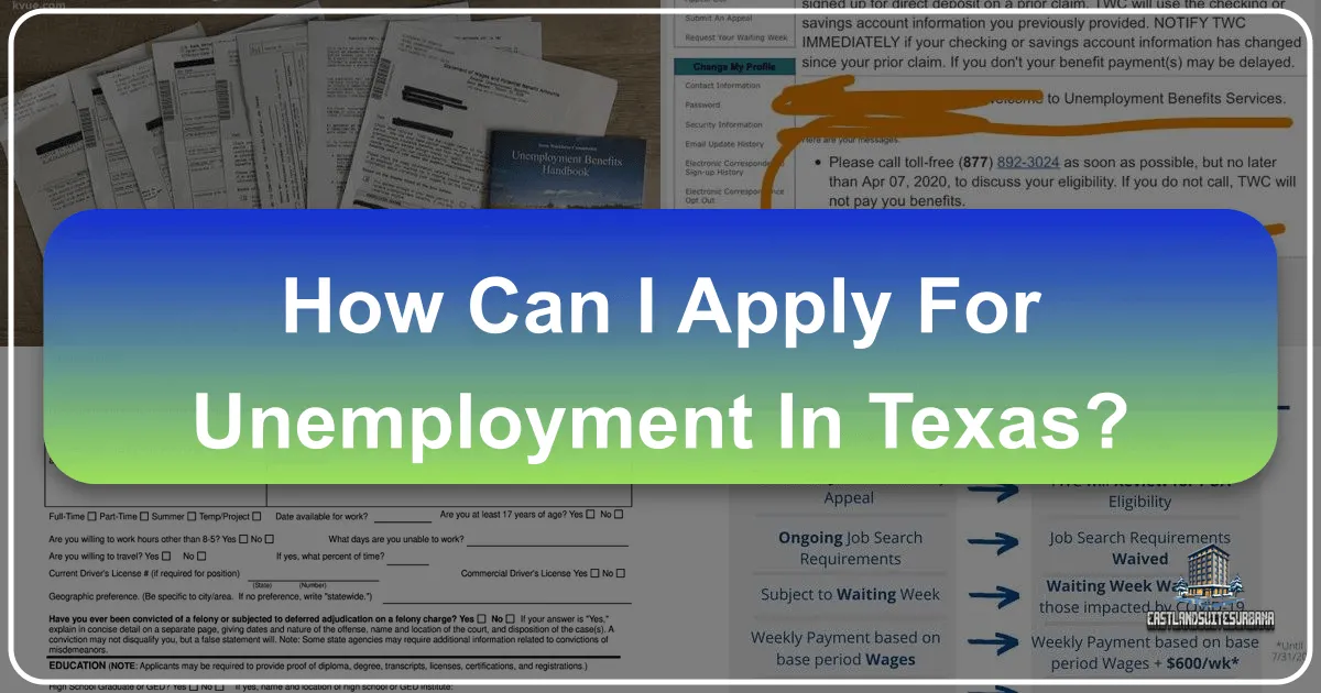 How Can I Apply for Unemployment in Texas: A New Path Through Exploration and Lifestyle Reimagination
