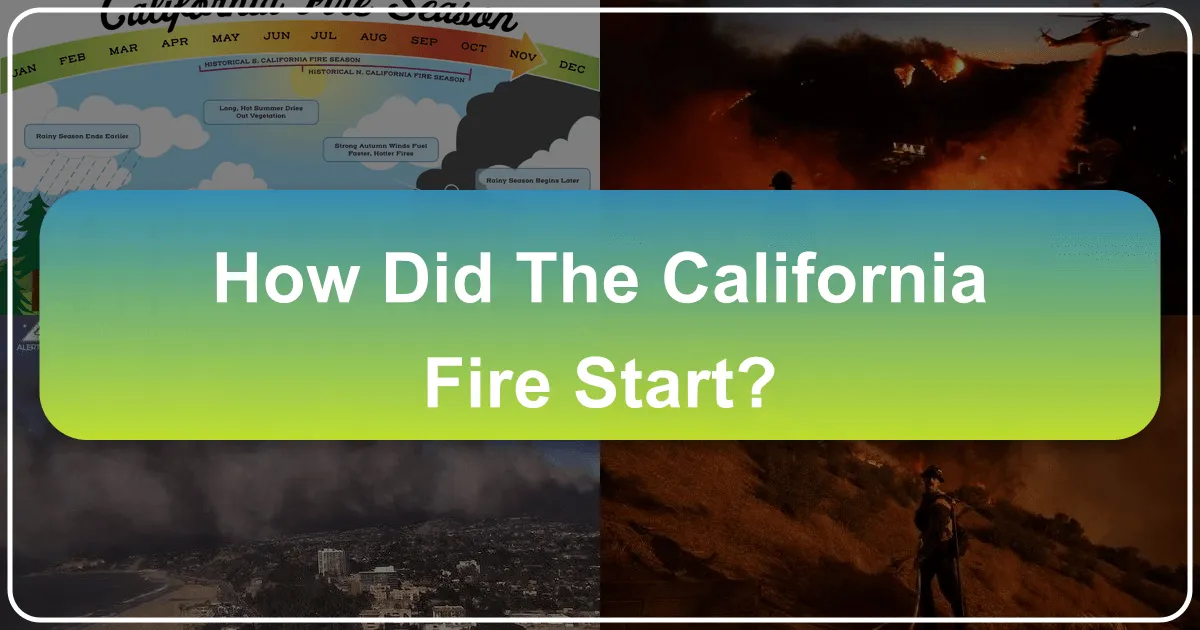 How Did the California Fire Start?