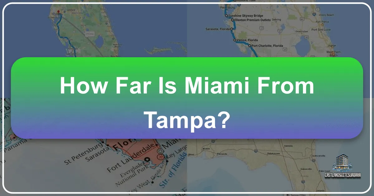 How Far Is Miami From Tampa?