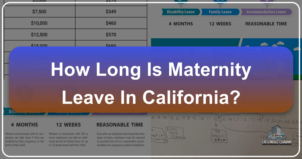 How Long is Maternity Leave in California: Leveraging Your Extended Time for Unforgettable Family Travel