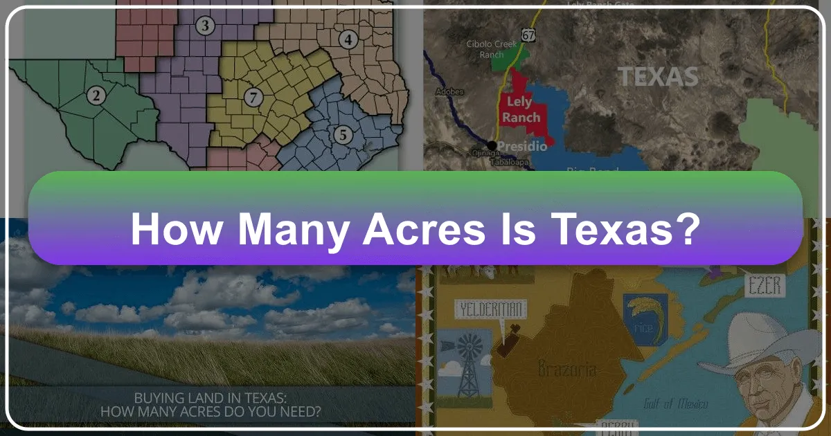 How Many Acres Is Texas