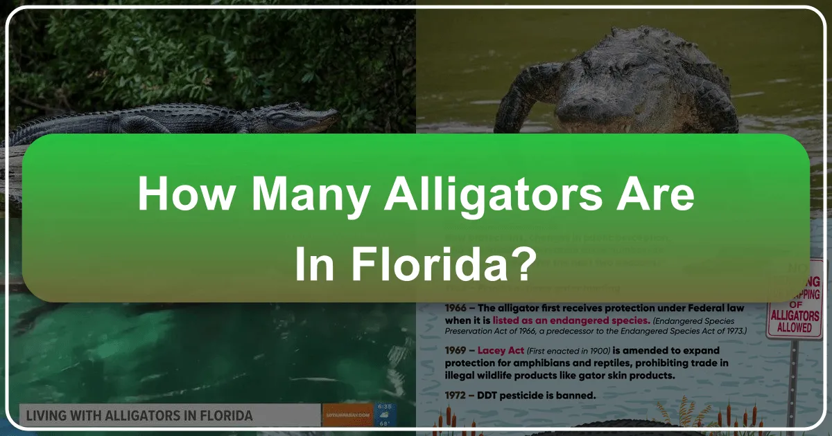 How Many Alligators Are In Florida?